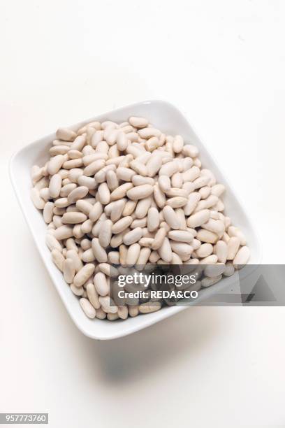 Cannellini Beans. Italy.