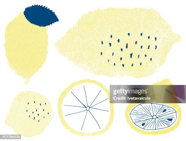 illustrations, cliparts, dessins animés et icônes de fruits au citron - citron