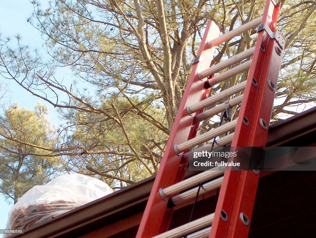 Cleaning Gutters