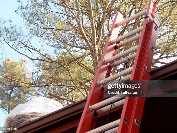 cleaning gutters - leaf on roof stock pictures, royalty-free photos & images