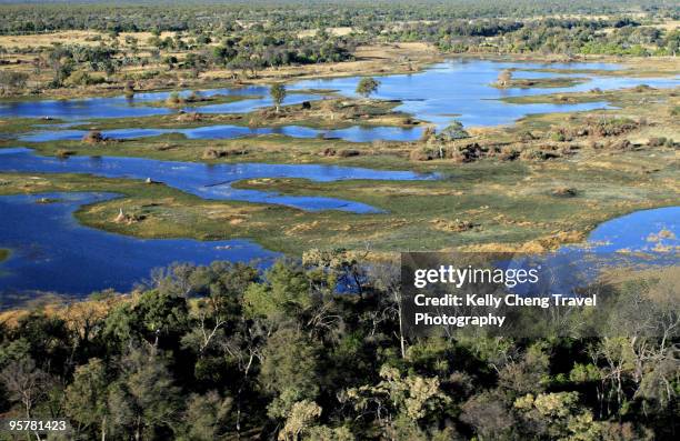 aerial view of okavango delta - maun stock pictures, royalty-free photos & images