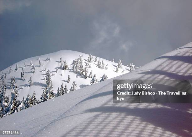 pristine mountain snow with shadows - judy winter stock-fotos und bilder