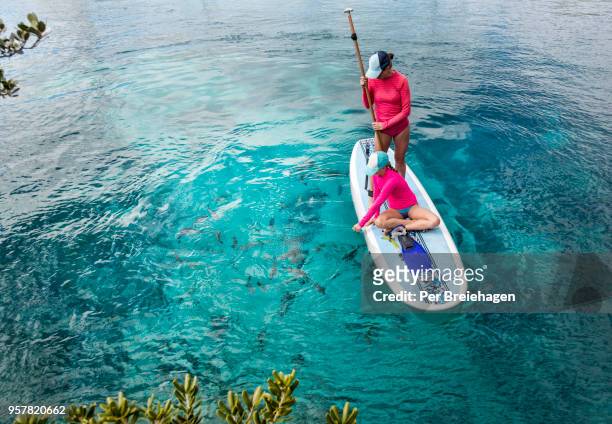 a mother and daughter feeding tropical fish at the blue hole_stocking island_exumas_bahamas - exuma stock pictures, royalty-free photos & images