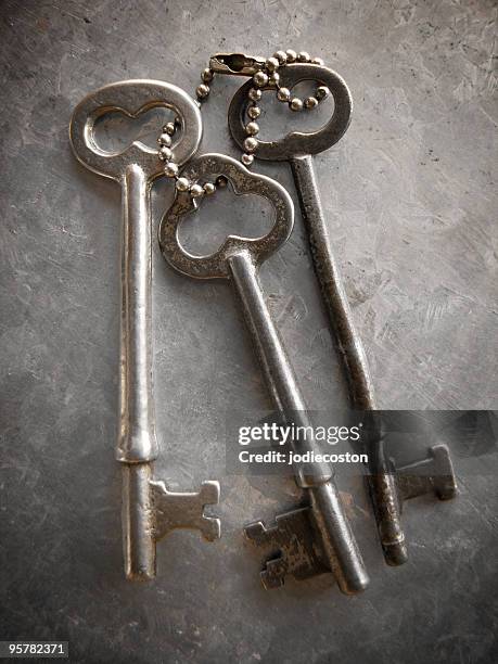 2,013 The Skeleton Key Stock Photos, High-Res Pictures, and Images ...