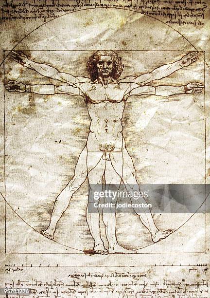 the vitruvian man by leonardo da vinci - da vinci stockfoto's en -beelden