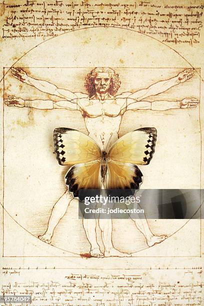 schmetterling auf davinci skizze eines mannes - leonardo da vinci stock-fotos und bilder