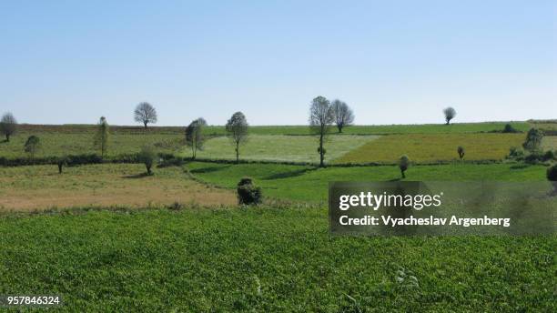 beautiful landscaped lawns in central myanmar, karen hills, asian switzerland - karen de silva stockfoto's en -beelden