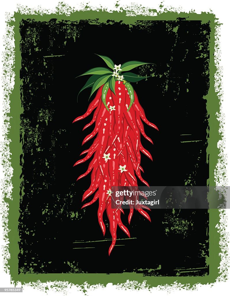 Grungy chili peppers hanging