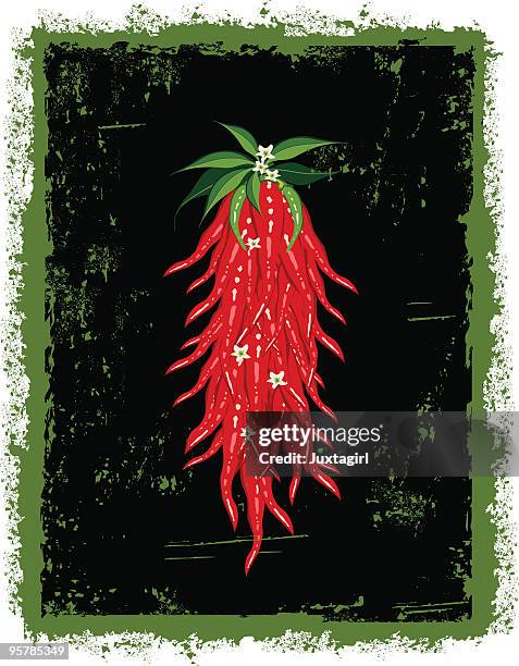 grungy chili peppers hanging - tex mex stock illustrations