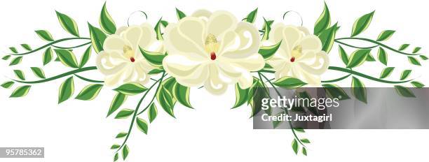 ilustraciones, imágenes clip art, dibujos animados e iconos de stock de magnolia arreglo floral - magnolio