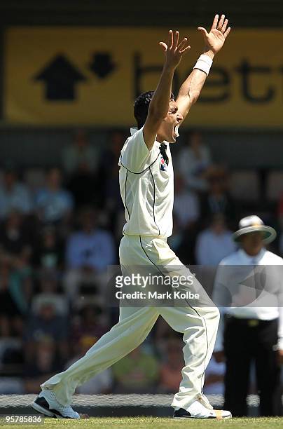 Umar Gul of Pakistan appeals during day two of the Third Test match between Australia and Pakistan at Bellerive Oval on January 15, 2010 in Hobart,...