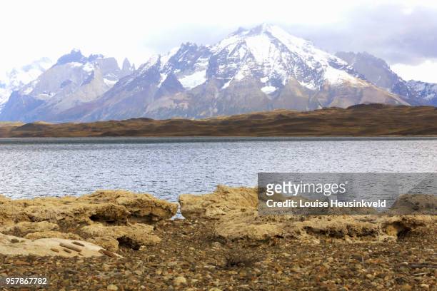 thrombolites on the shore of lago sarmiento, patagonia, chile - 炭酸石灰 ストックフォトと画像