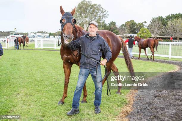 Smooth Hustler after winning the Frais Farms C,G&E BM58 Handicap at Bairnsdale Racecourse on May 13, 2018 in Bairnsdale, Australia.