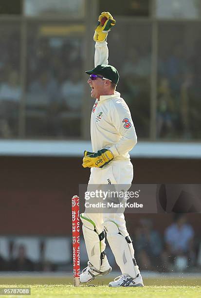 Brad Haddin of Australia appeals during day two of the Third Test match between Australia and Pakistan at Bellerive Oval on January 15, 2010 in...