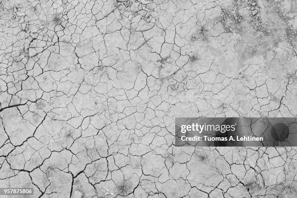dry and cracked soil ground during drought, viewed from above in black and white - zerbrochen stock-fotos und bilder
