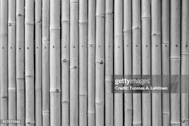 close-up of a natural bamboo wall background in black and white - black bamboo stock pictures, royalty-free photos & images