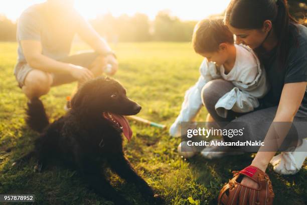 preparándose jugar algunas capturas - baseball mom fotografías e imágenes de stock