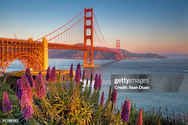 a new day begins in san francisco - golden gate bridge stock-fotos und bilder