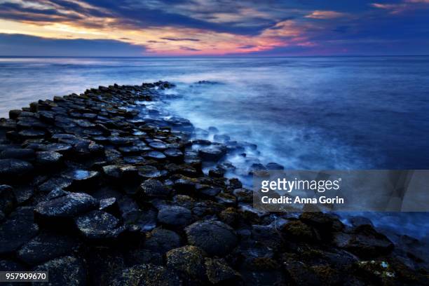 basalt columns of famous giant's causeway leading into sea at dusk, northern ireland, long exposure - bushmills stock pictures, royalty-free photos & images