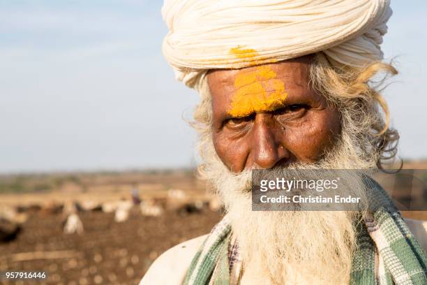 Portrait of an indian Shepherd with turban and in traditional clothes at work. As Hindu man he is signed with a yellow Tilaka.
