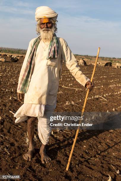 Portrait of an indian Shepherd with turban and in traditional clothes at work. As Hindu man he is signed with a yellow Tilaka.