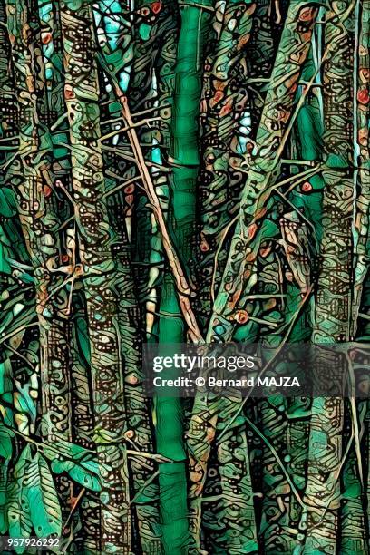 artistic bamboo - ideograma imagens e fotografias de stock
