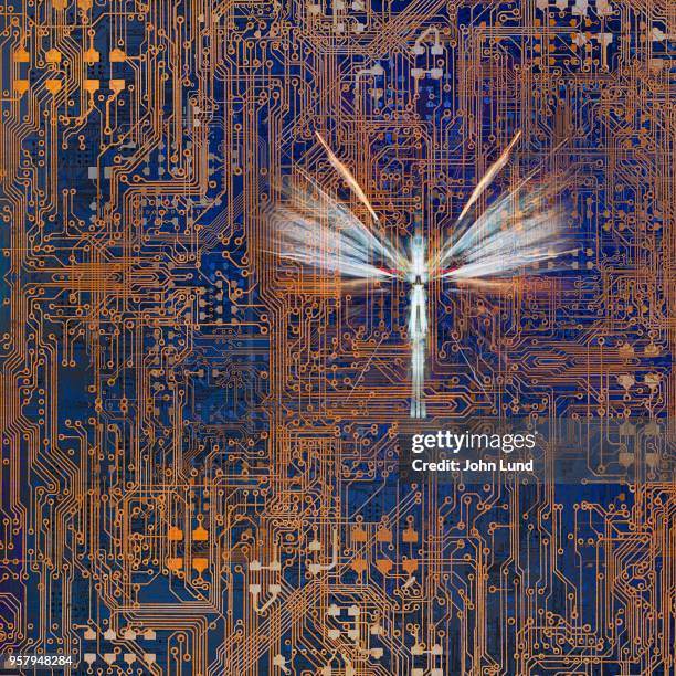 computer bug in a mother board - computer bug stock pictures, royalty-free photos & images