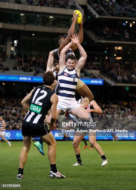Esava Ratugolea of the Cats marks the ball over Patrick Dangerfield of the Cats during the 2018 AFL round eight match between the Collingwood Magpies...