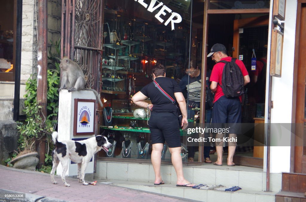 Landskapet i Ubud, Bali