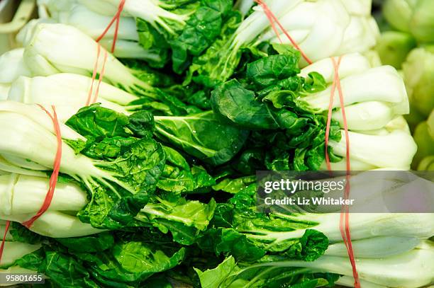 bok choy piled up on market stall - granville island market foto e immagini stock
