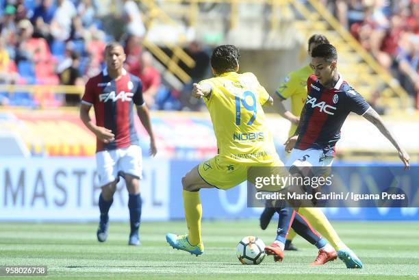 Erik Pulgar of Bologna FC in action during the serie A match between Bologna FC and AC Chievo Verona at Stadio Renato Dall'Ara on May 13, 2018 in...