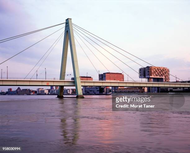 severin bridge with kranhaus buildings in cologne - cable stayed bridge stock-fotos und bilder