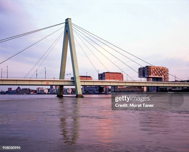 severin bridge with kranhaus buildings in cologne - cable stayed bridge stock pictures, royalty-free photos & images