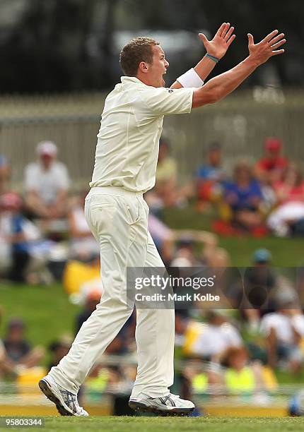 Peter Siddle of Australia appeals during day three of the Third Test match between Australia and Pakistan at Bellerive Oval on January 16, 2010 in...