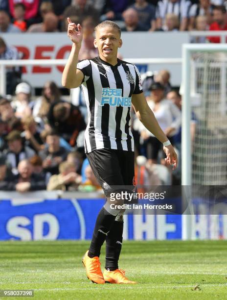Dwight Gayle of Newcastle celebrates scoring the opening goal during the Premier League match between Newcastle United and Chelsea at St. James Park...