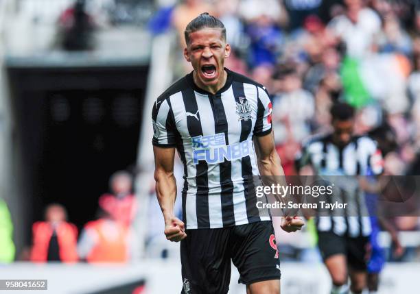 Dwight Gale of Newcastle United celebrates after scoring the opening goal during the Premier League Match between Newcastle United and Chelsea at...