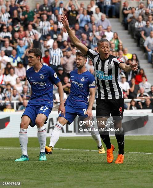 Dwight Gayle of Newcastle United celebrates after he score the opening goal during the Premier League match between Newcastle United and Chelsea at...