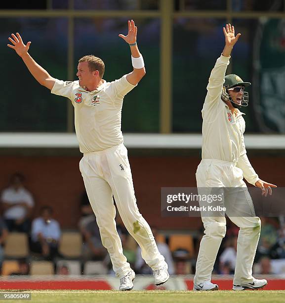 Peter Siddle and Michael Hussey of Australia appeal during day two of the Third Test match between Australia and Pakistan at Bellerive Oval on...