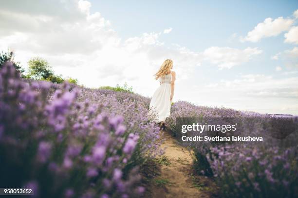 young and happy blond woman in white dress posing on lavender - purple dress stockfoto's en -beelden