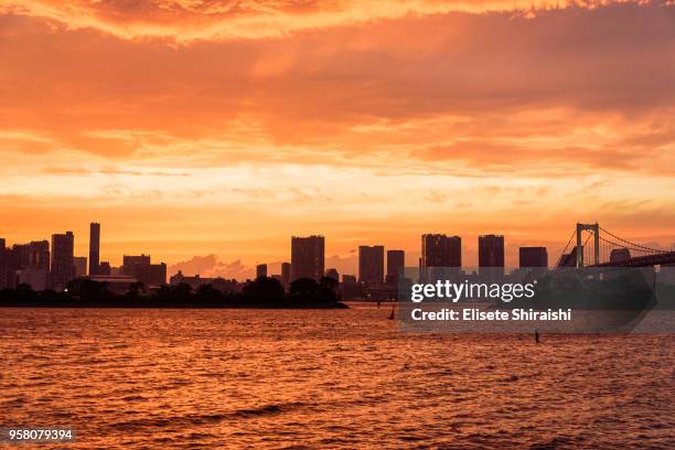 odaiba seaside park - elisete shiraishi stock pictures, royalty-free photos & images