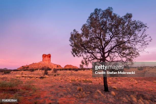 chambers pillar historical reserve, northern territory, australia - simpson desert imagens e fotografias de stock