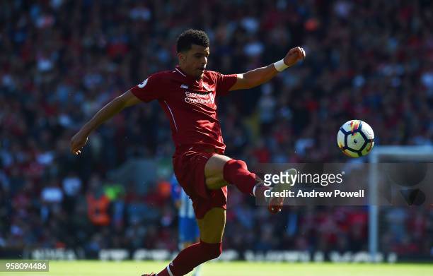 Dominic Solanke of Liverpool during the Premier League match between Liverpool and Brighton and Hove Albion at Anfield on May 13, 2018 in Liverpool,...