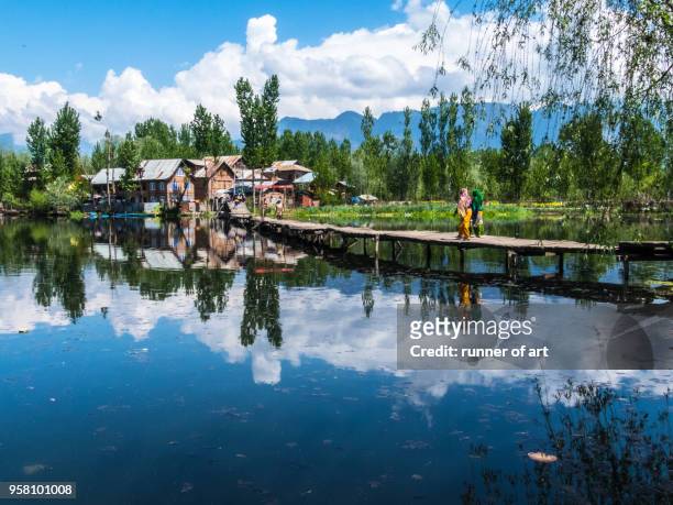 nature lifestyle of dal lake - daily life in srinagar kashmir stock pictures, royalty-free photos & images