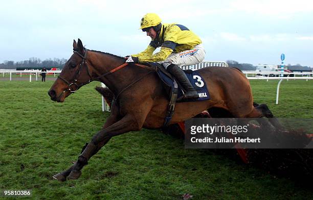 Nick Schofield and Micheal Flips clear the last flight before landing The williamhill.com Lanzarote Hurdle Race run at Kempton Park Racecourse on...