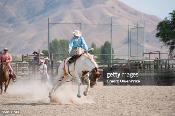 Rodeo Horse Rider 981 Saddle Bronc Saddles Stock Photos, High-Res Pictures, and Images ...