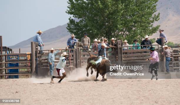 Bull Riding Woman Photos and Premium High Res Pictures - Getty Images
