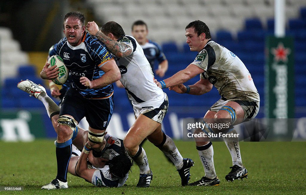 Cardiff Blues v Sale Sharks - Heineken Cup