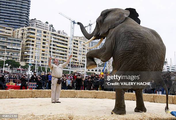 Sonni Frankello artists perform with an elephant during a parade of the 34nd International Circus Festival of Monaco, on January 16, 2010 in Monaco....