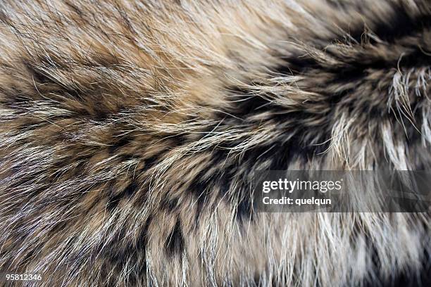 close-up of gray black brown luxury animal fur - animal fur stock pictures, royalty-free photos & images