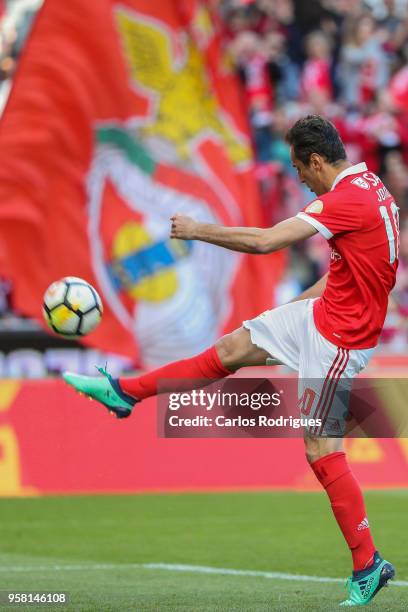 Benfica forward Jonas from Brasil celebrates scoring Benfica goal during the Primeira Liga match between SL Benfica and Moreirense FC at Estadio da...